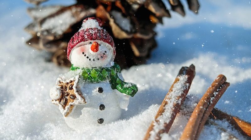 Conseils pratiques pour passer de bonnes vacances de Noël. - Valetmont -  Snowuniverse Blog