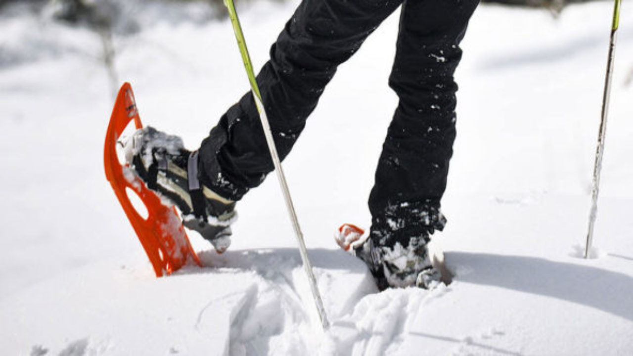 Comment entretenir ou réparer ses raquettes à neige ? - Valetmont -  Snowuniverse Blog